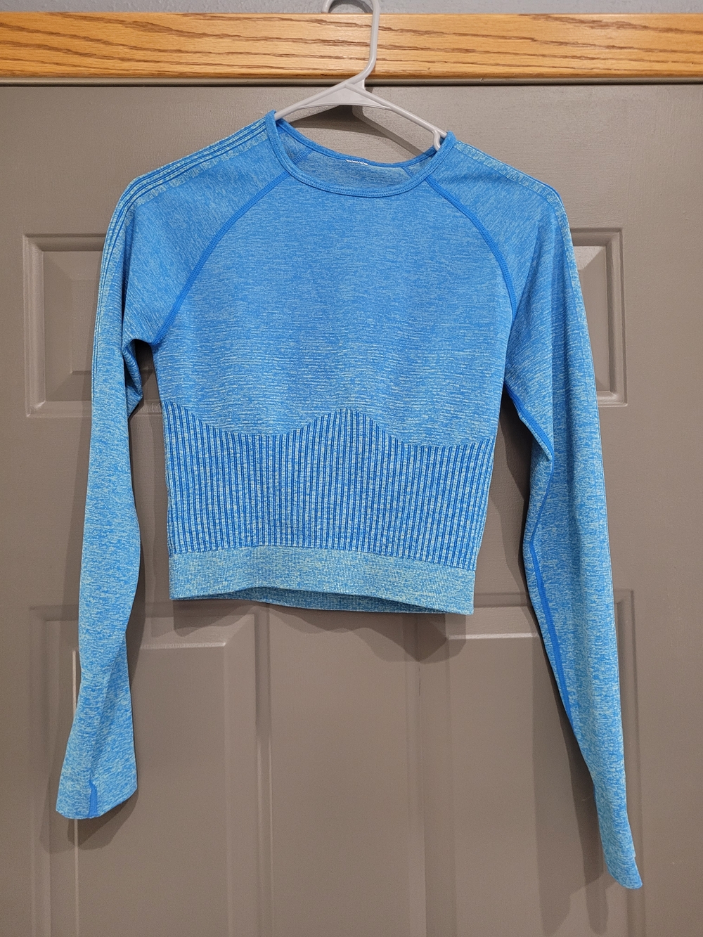 Fabletics Sky Blue Seamless Long-Sleeve Crop Top